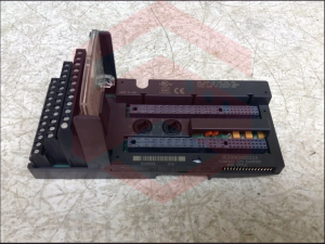 IC200CHS022